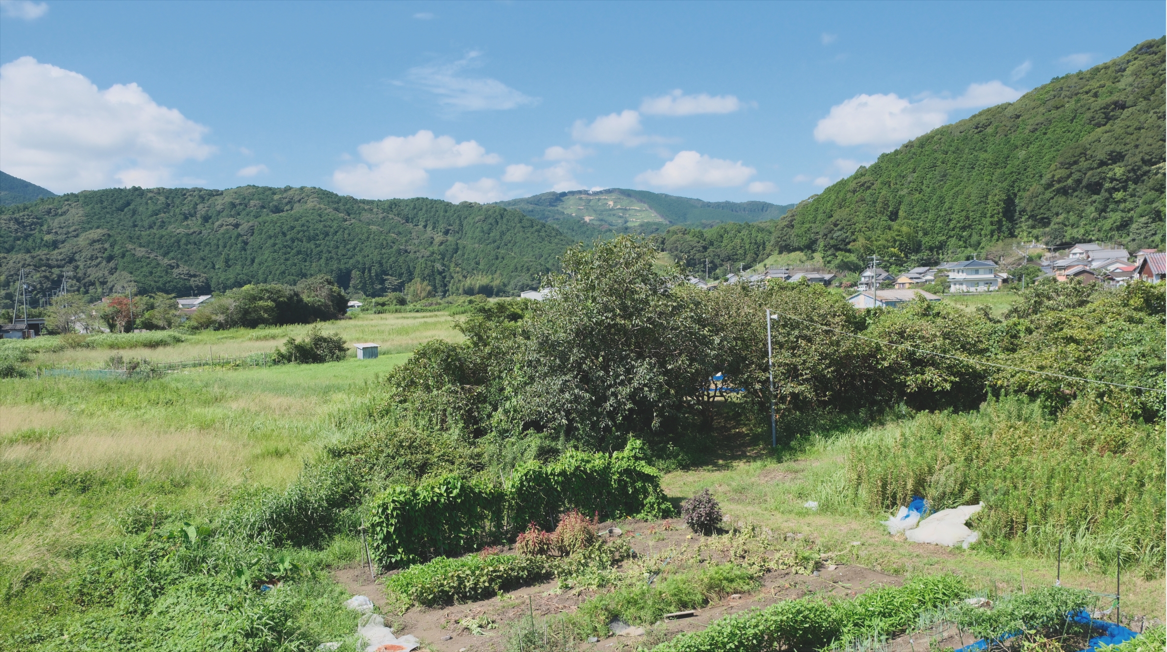 風景（貸切宿ほとり)