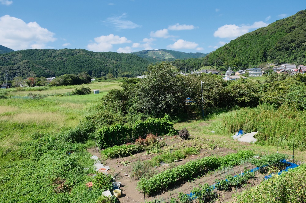 高知県四万十市ほとり宿風景