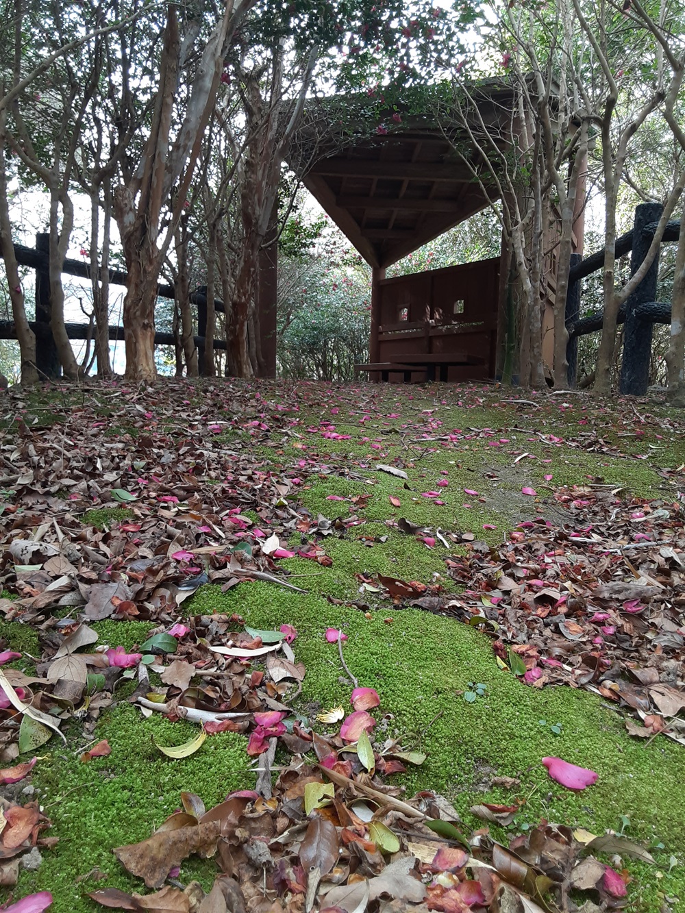 四万十川野鳥自然公園