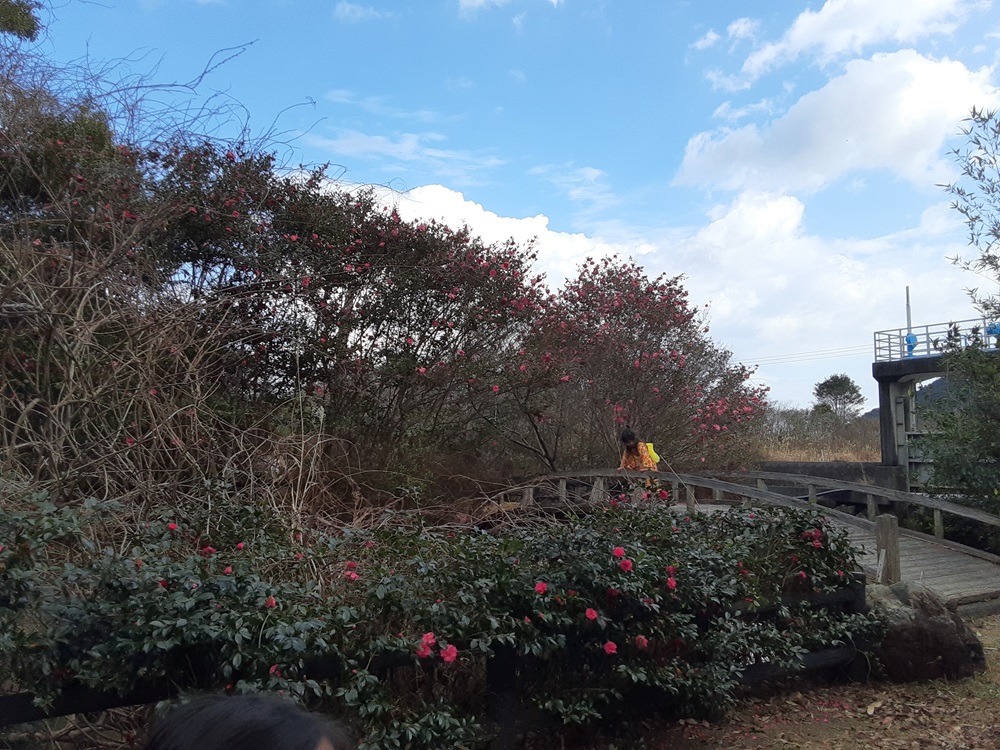 四万十川野鳥自然公園